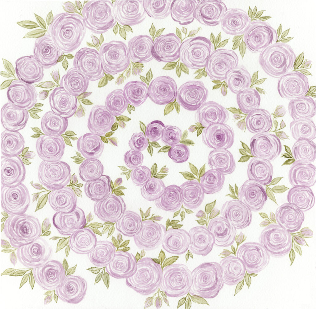 Aquarellgemälde eines spiralförmigen Musters aus lavendelfarbenen Rosenblüten mit grünen Blättern vor weißem Hintergrund. Watercolor painting of a spiral pattern of lavender rose blossoms with green leaves, set against a white background.